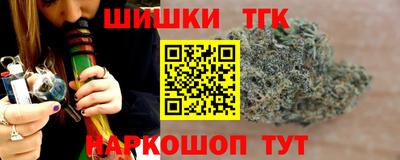 индика Тулун