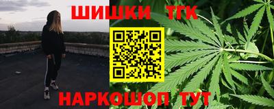 индика Тулун