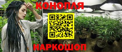индика Тулун