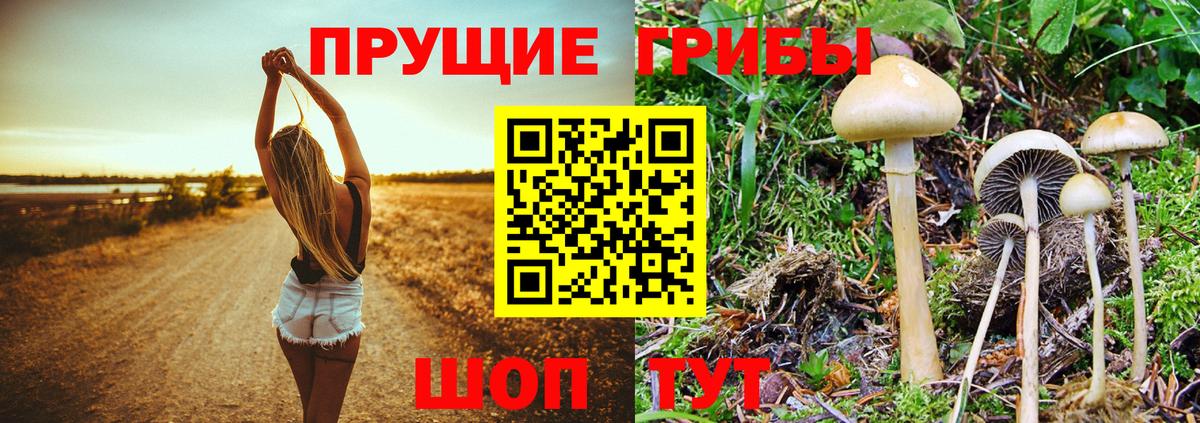 Псилоцибиновые грибы Magic Shrooms Междуреченск