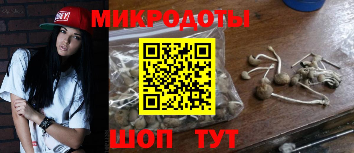 Междуреченск  Галлюциногенные грибы мицелий  Вход с VPN 